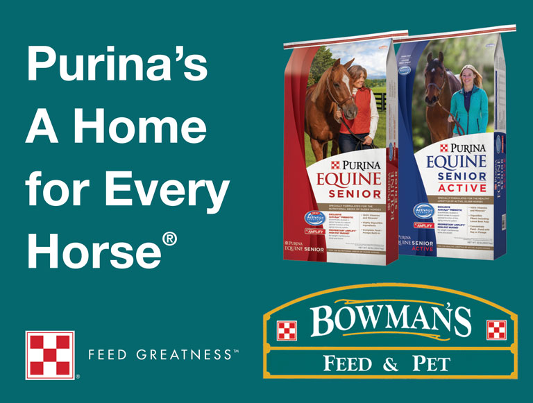 A Home For Every Horse